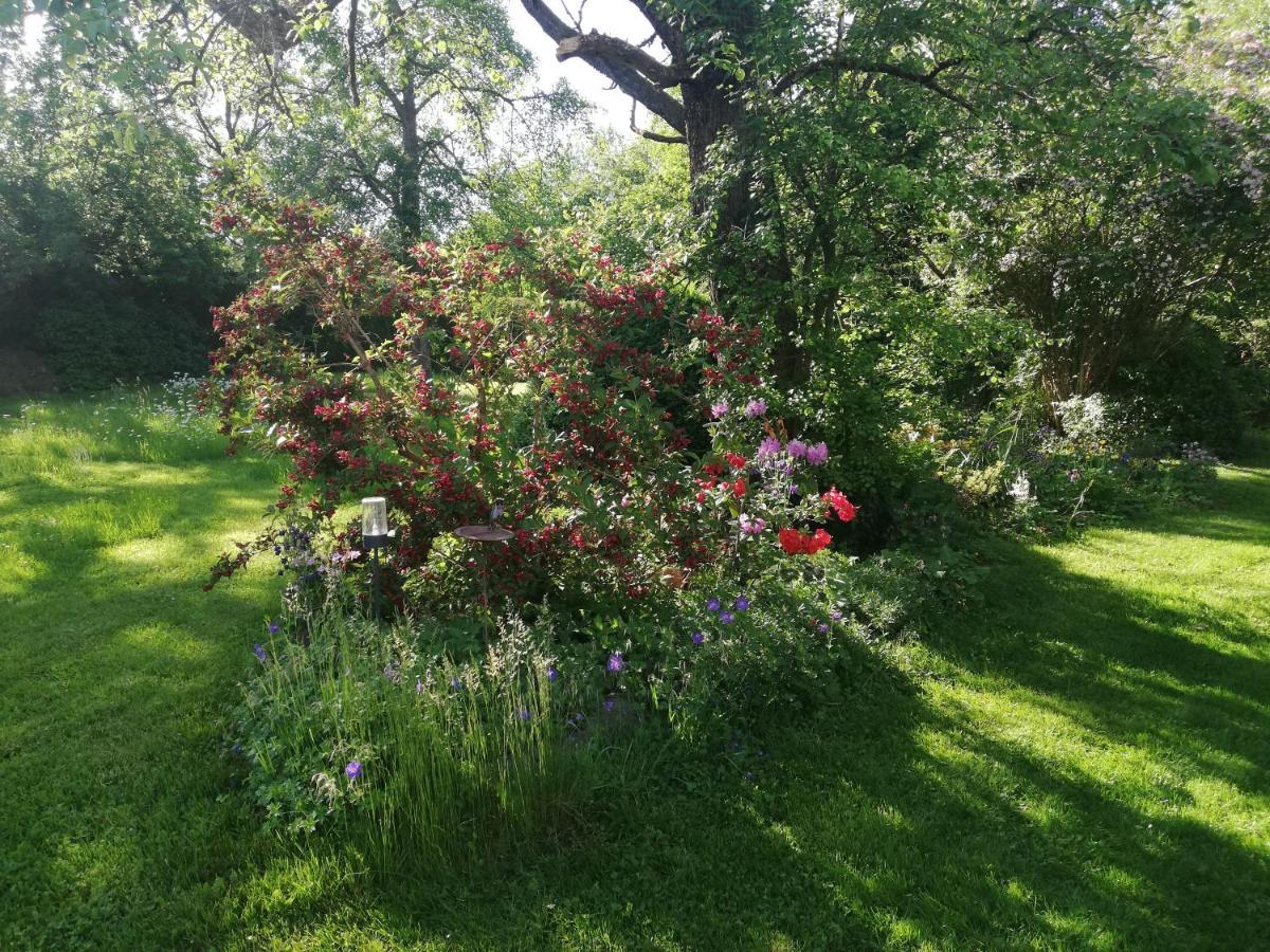 Anna - Neue Ferienwohnung Mit Blick Ins Gruene Ober-Abtsteinach Luaran gambar